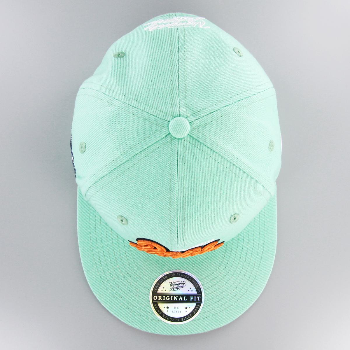 Los Angeles Dope Heads Snapback Aqua
