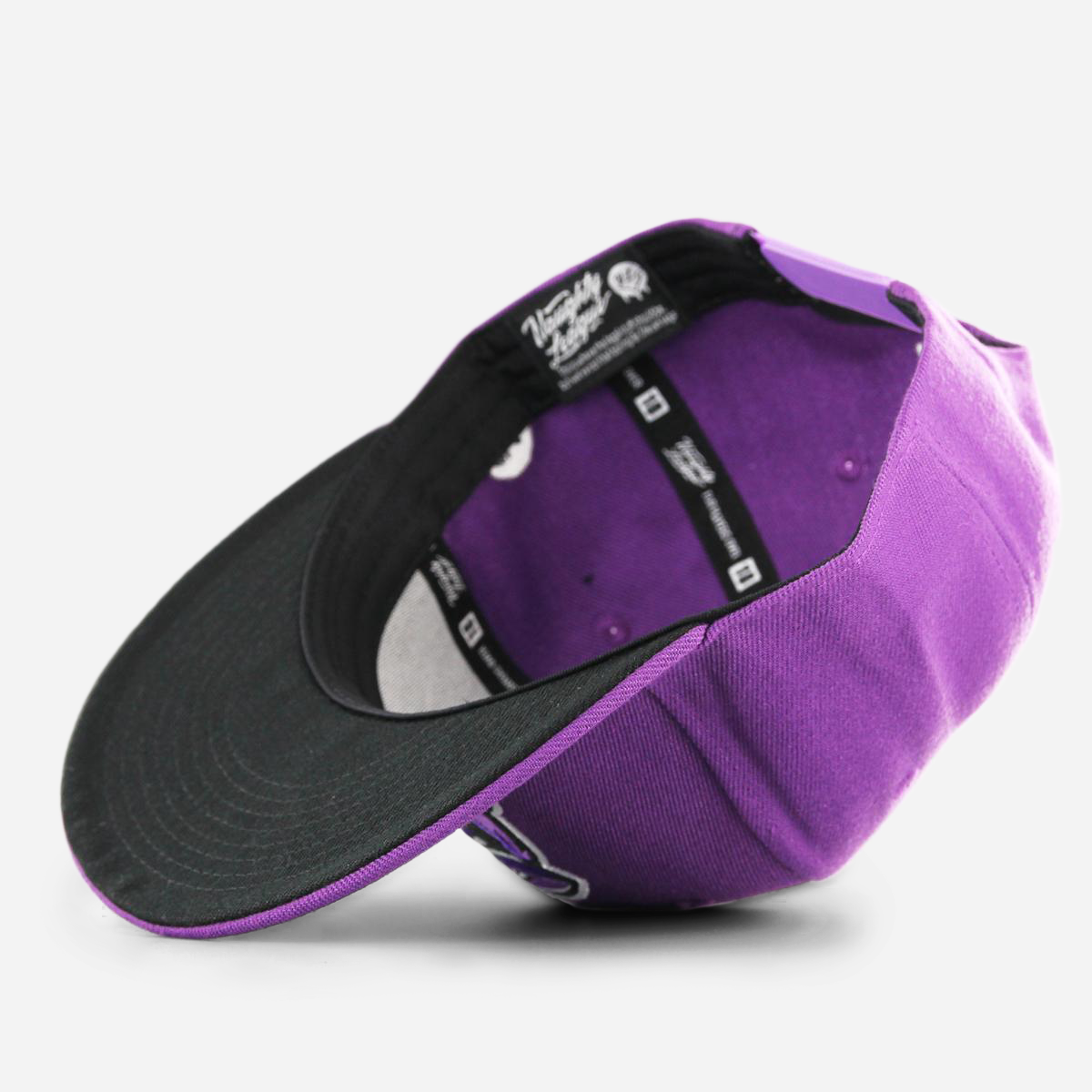 San Jose Stalkers Snapback Purple