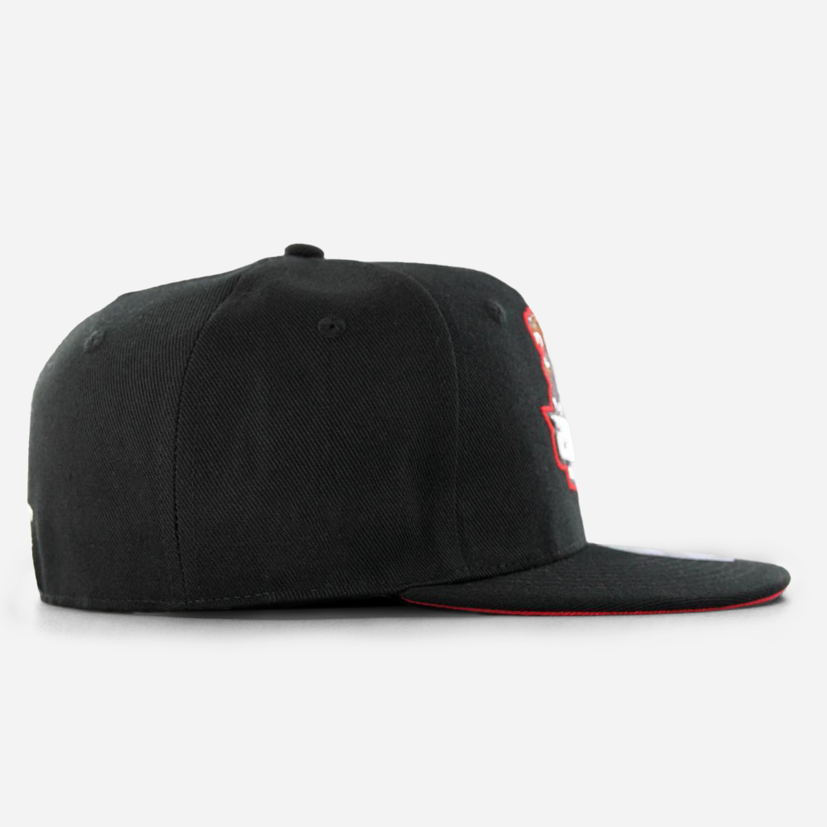 Minnesota Masturbears Fitted Black