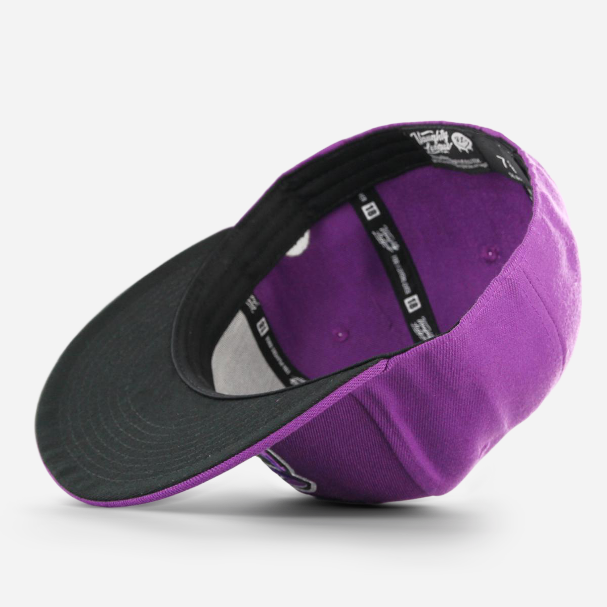 San Jose Stalkers Fitted purple